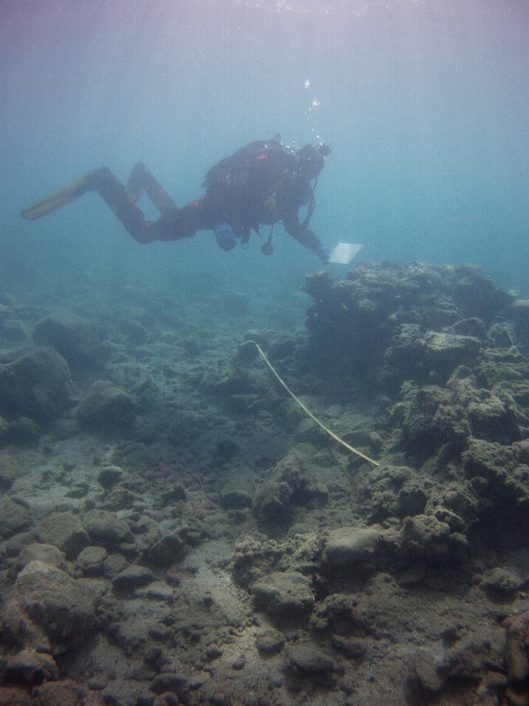 Fig 2. The installations were documented with photogrammetry and traditional drawing underwater. The water depth here is approximately 2,5 metres. Photograph: Staffan von Arbin.