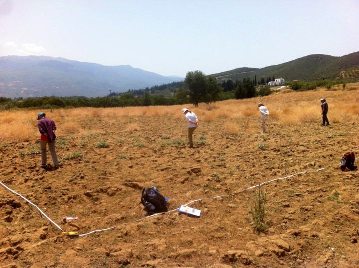 Fig. 4: Field walking during the project.