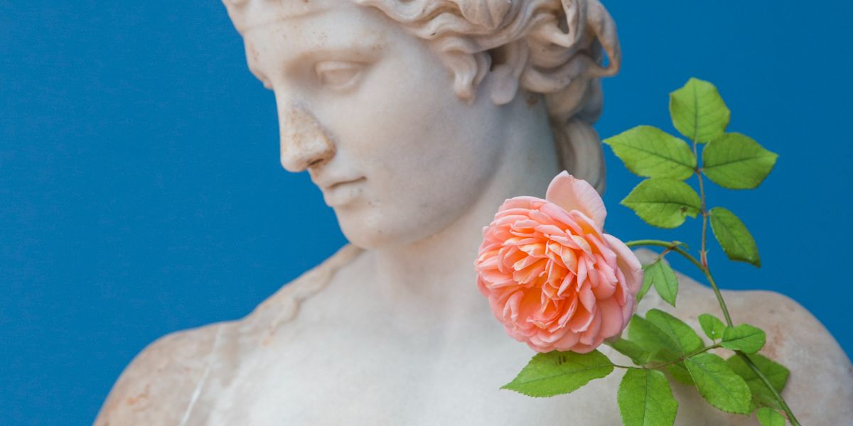 bridges 20251202 brons