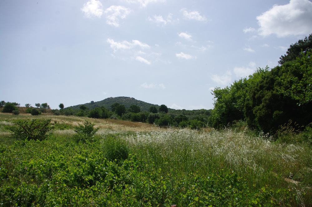 Fig. 2: The Kotroni hill.